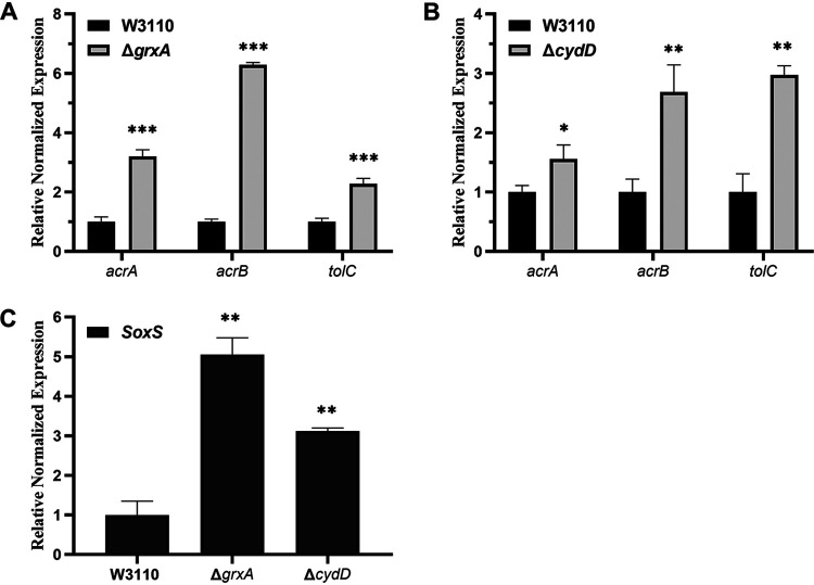 FIG 3