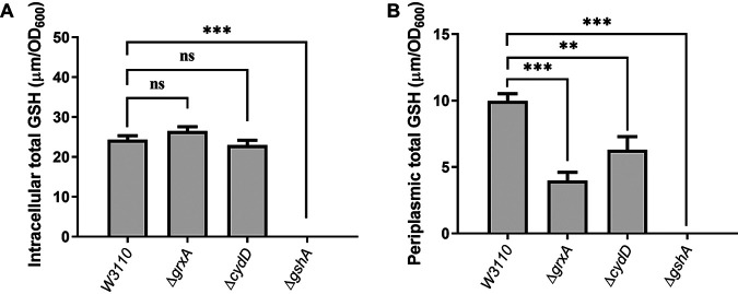 FIG 2