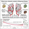 Graphical Abstract