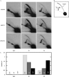 FIG. 6.