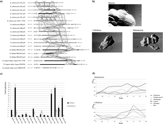 FIG 4