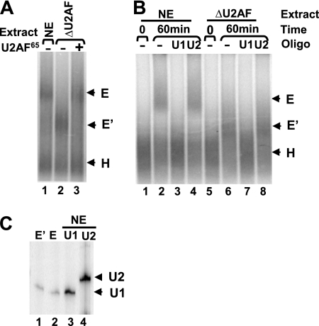 FIG. 5.