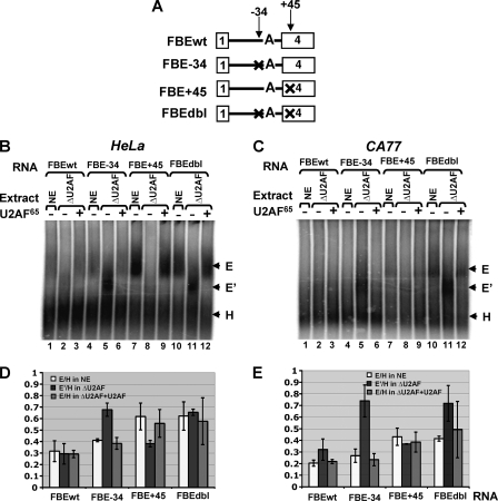 FIG. 6.