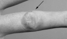 Figure 1)