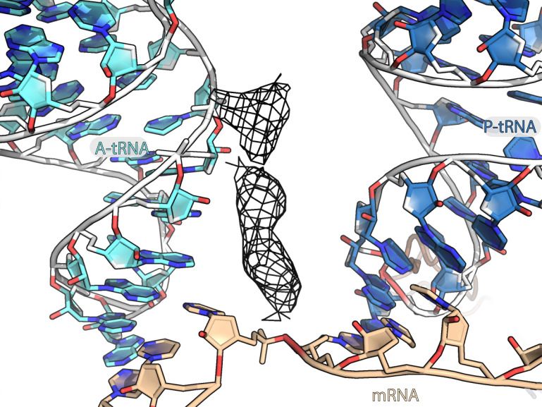 Figure 3—figure supplement 3.