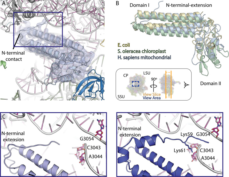 Figure 1—figure supplement 5.