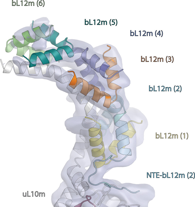 Figure 1—figure supplement 3.