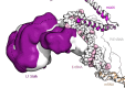Figure 3—figure supplement 4.