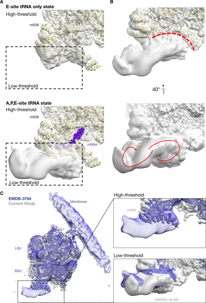 Figure 3—figure supplement 6.