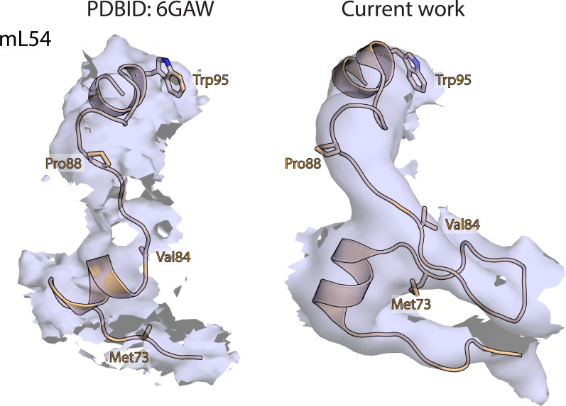 Figure 1—figure supplement 4.