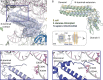 Figure 1—figure supplement 5.