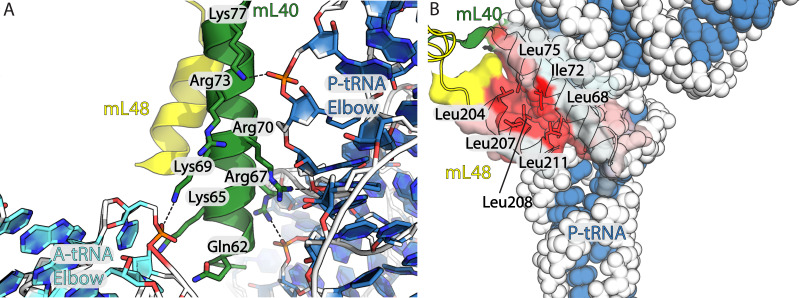 Figure 2—figure supplement 2.