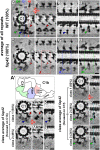 Fig. 4.