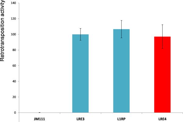 Fig. 2B