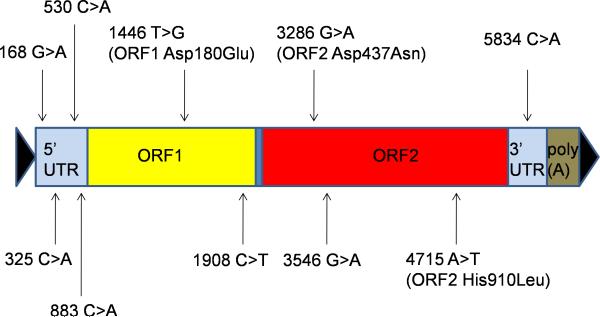 Fig. 2A