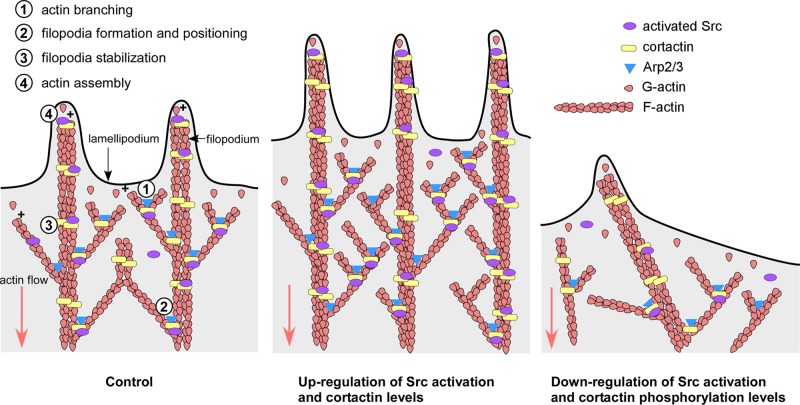 FIGURE 9: