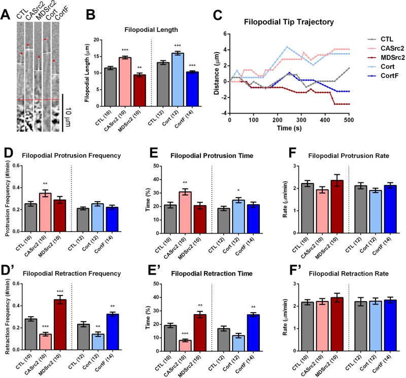 FIGURE 4: