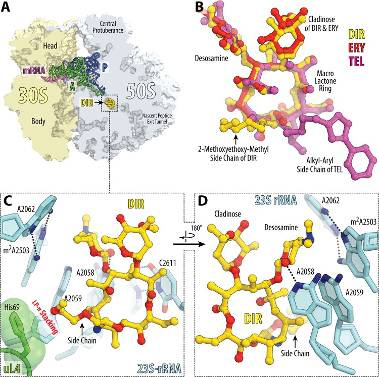 FIG 2