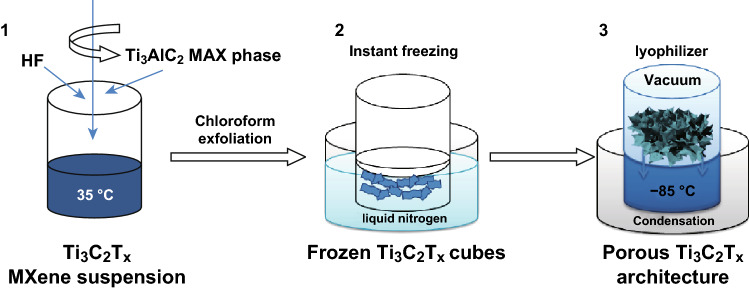 Fig. 12