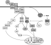 FIG. 3.