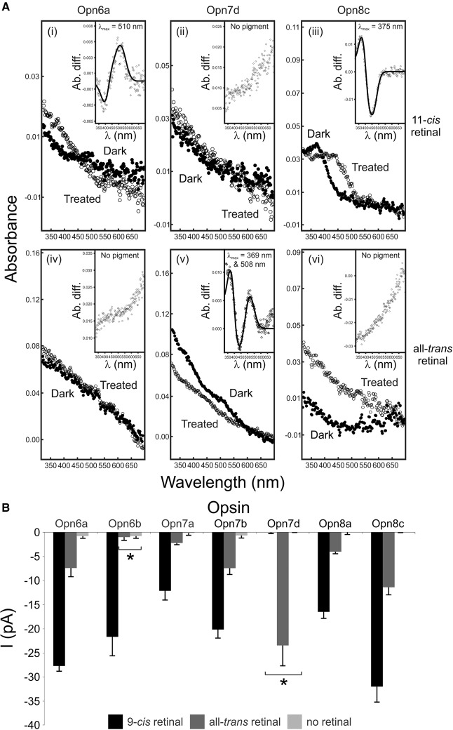 Figure 7.