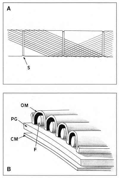 FIG. 7