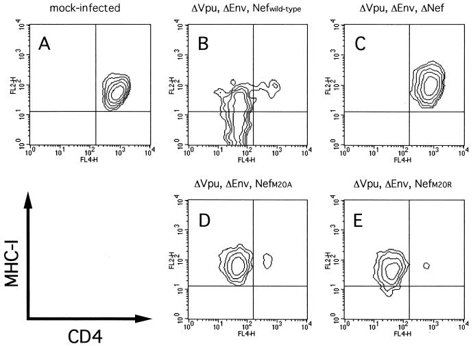 FIG. 5