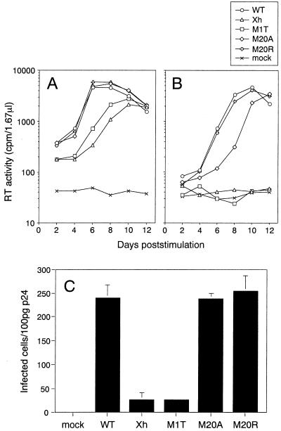 FIG. 3