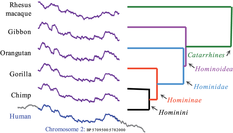 Fig. 14.