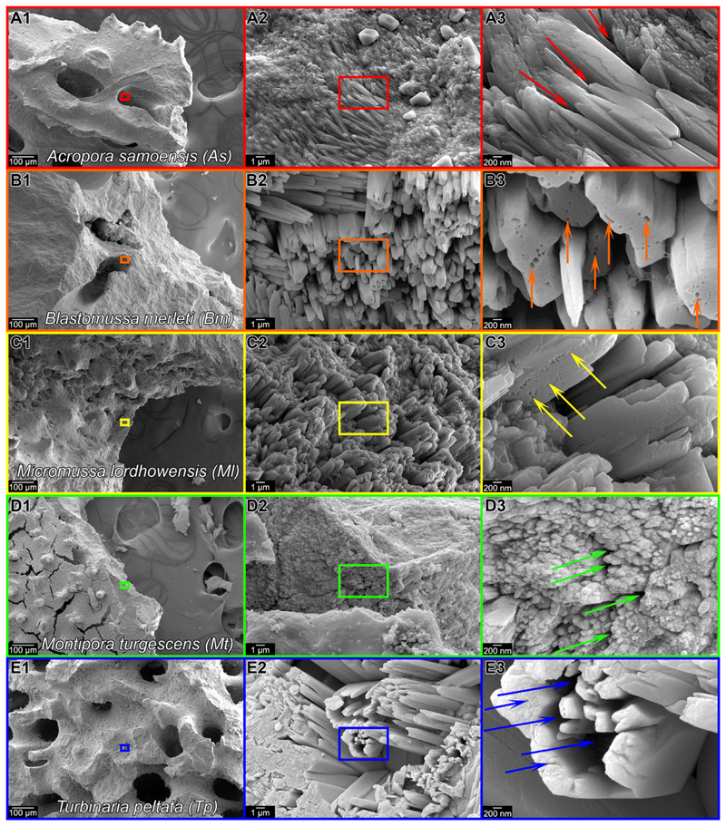 Fig. 5