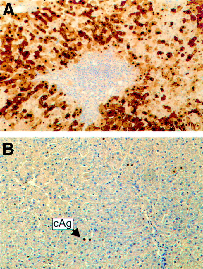 Figure 2  