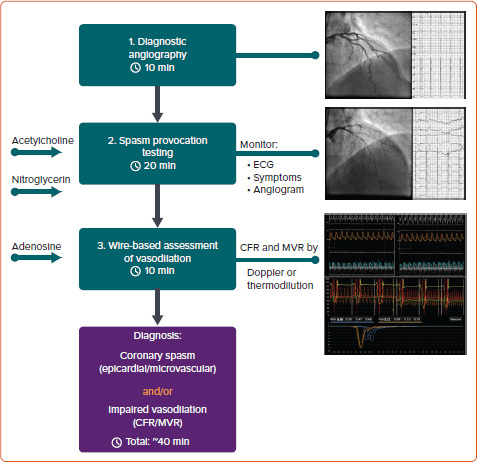 Figure 1:
