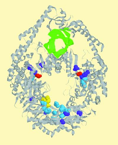 FIG. 1