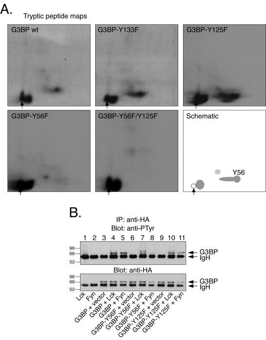 FIG. 7.