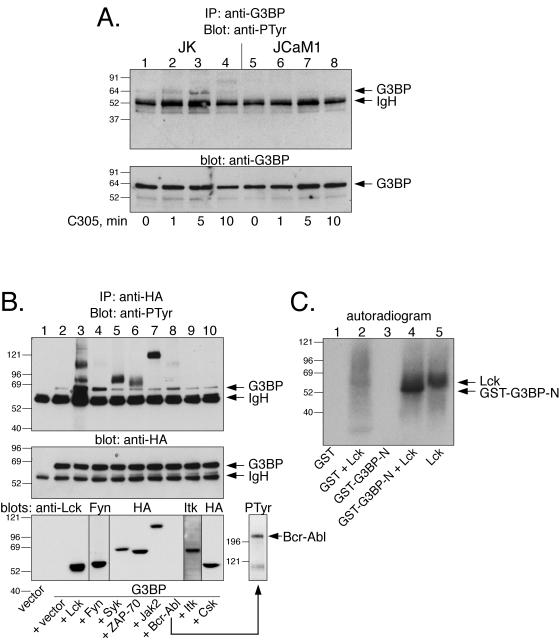 FIG. 6.