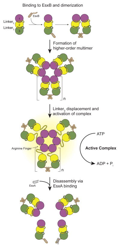 Figure 7