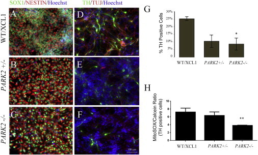 Figure 6