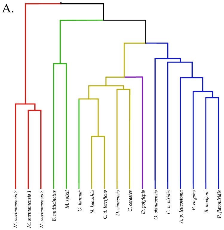 Figure 19