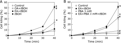 Fig. 6