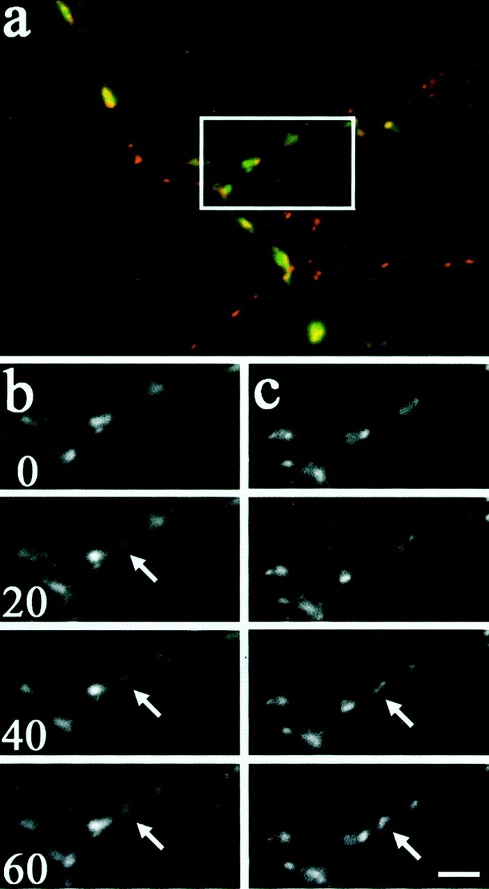 Fig. 9.