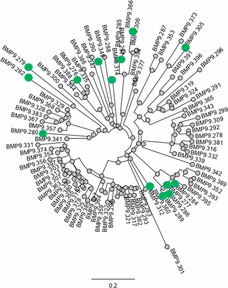 Figure 13.