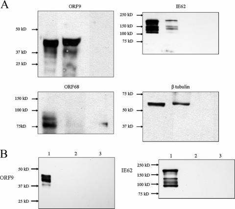 FIG. 10.