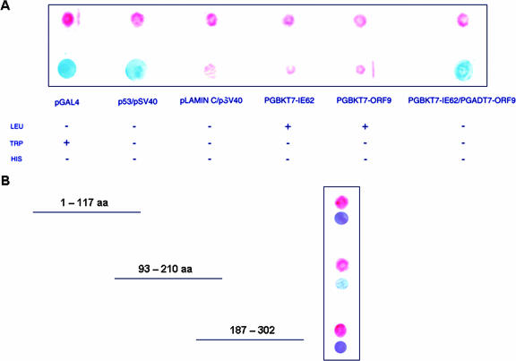 FIG. 3.