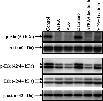 Fig. 5