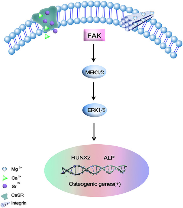 FIGURE 3