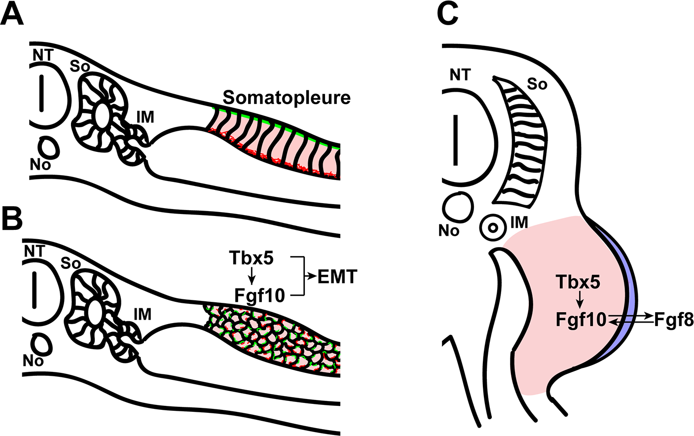 Figure 1 –