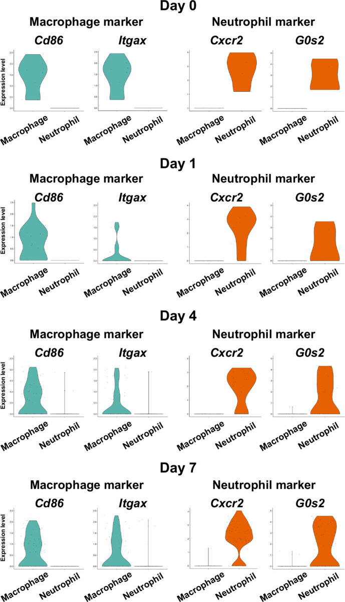 Figure 5—figure supplement 1.