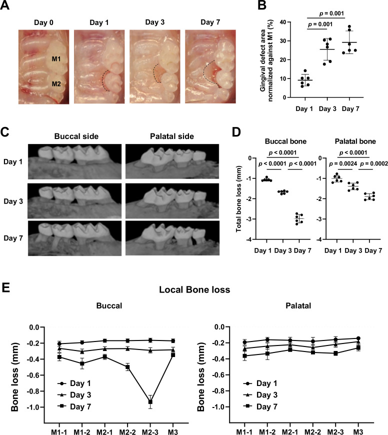 Figure 1—figure supplement 1.