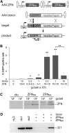 FIG. 2.