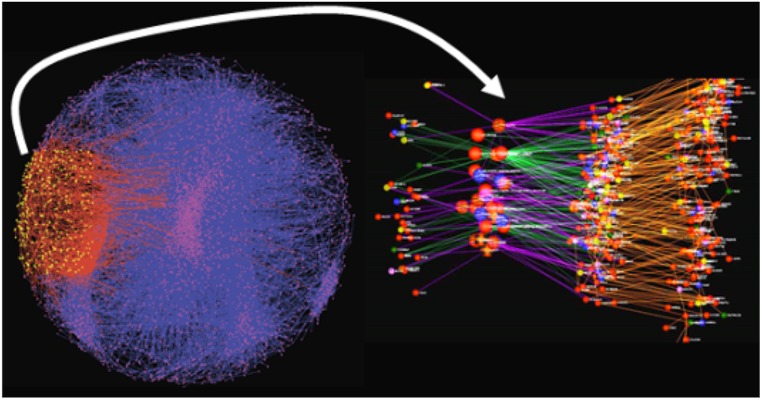 FIGURE 3